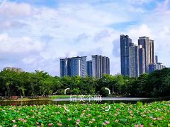 -荔湾湖公园