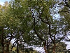 -浙江大学(玉泉校区)