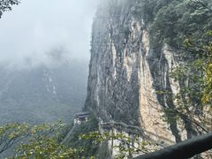 -鹿院坪生态旅游景区