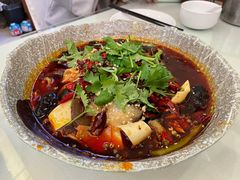 精品毛血旺-成都驻京办餐厅(蜀都宾馆店)