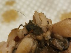 嘉陵楼特色招牌馋嘴蛙-嘉陵楼馋嘴城(簋街总店)