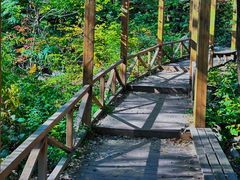 -大岭沟猕猴桃谷风景区