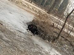 -北京麋鹿生态实验中心