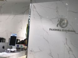 -潘多拉Hairsalon