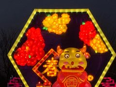 -武汉园博园(武汉自然博物馆)