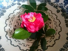 android_upload_pic-深圳麒麟山庄