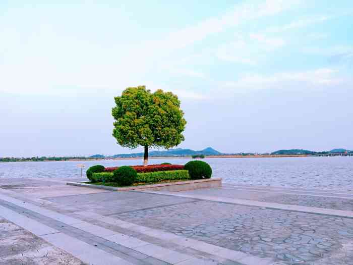 三山区莲花湖公园-"游客少 绿化面积大 适合全家人休闲游.