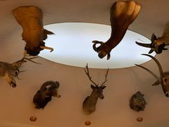 -陕西自然博物馆