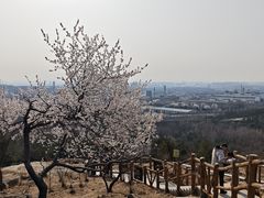 -白水寺森林公园