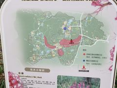 -杭州植物园
