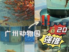 -广州动物园
