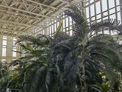 -中家鑫园温泉酒店鑫悦汤泉