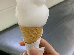 接骨木花雪芭-歎雪糕低糖低脂Gelato冰淇淋