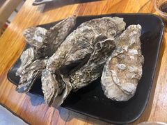 -开蚝屋
