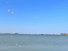 -瑶湖郊野森林公园