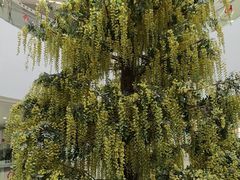 -南方医科大学深圳医院