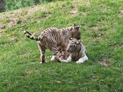 -北京野生动物园