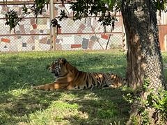 -宿豫区运河湾森林动物园