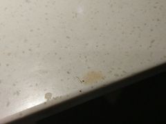 -蜀张一派斑鱼大虾(宁河旗舰店)