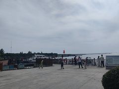 -洪湖湿地生态园