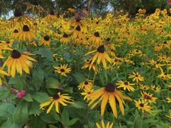 -武汉紫薇都市田园