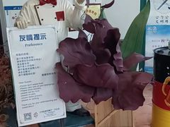 -兰特伯爵西餐厅·啤酒屋(方庄店)