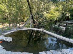 -灵溪风景区