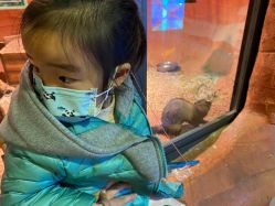 -酷嗒动物文化乐园(cutezoo西溪乐天城店)