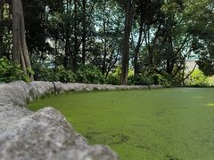 -成都市活水公园