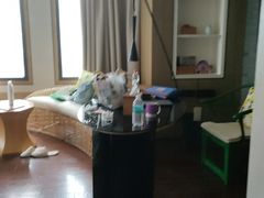 -上海外滩英迪格酒店