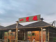 -一煲鸽