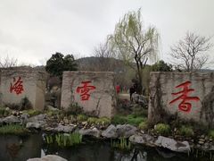 -香雪海
