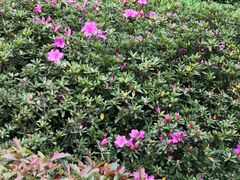 -四川大学(华西校区)