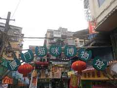 -猫咪博物馆(顶澳仔猫街店)