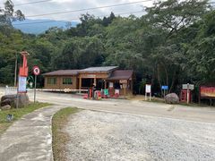 -海南霸王岭国家森林公园