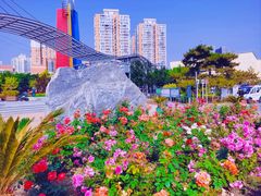 -太阳宫公园