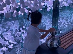-Cetus coffee鲸鱼座咖啡·拼豆(二仙桥公园店)