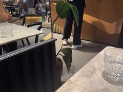 -gaga(深圳福田星河COCO Park店)