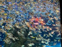 -成都浩海立方海洋公园