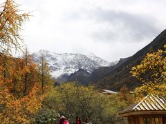 -黄龙山原始森林景区