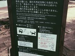 -奈良公园