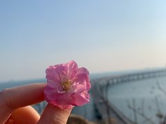 -星海湾跨海大桥