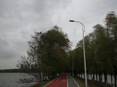 -艾溪湖湿地公园