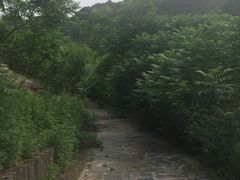 -乌龙峡谷景区