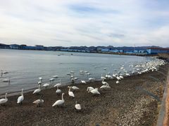 -花斑彩石景区
