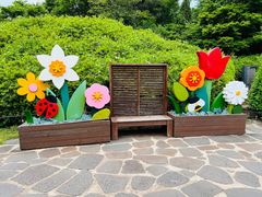 -济州森林小火车生态公园