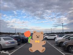 -迪士尼乐园停车场