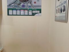 -芭比堂动物医院·24小时·眼科中心(深圳中心)