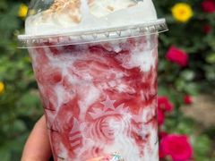 -星巴克(美丽华花园店)
