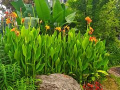 -重百超市(鲁能星城店)